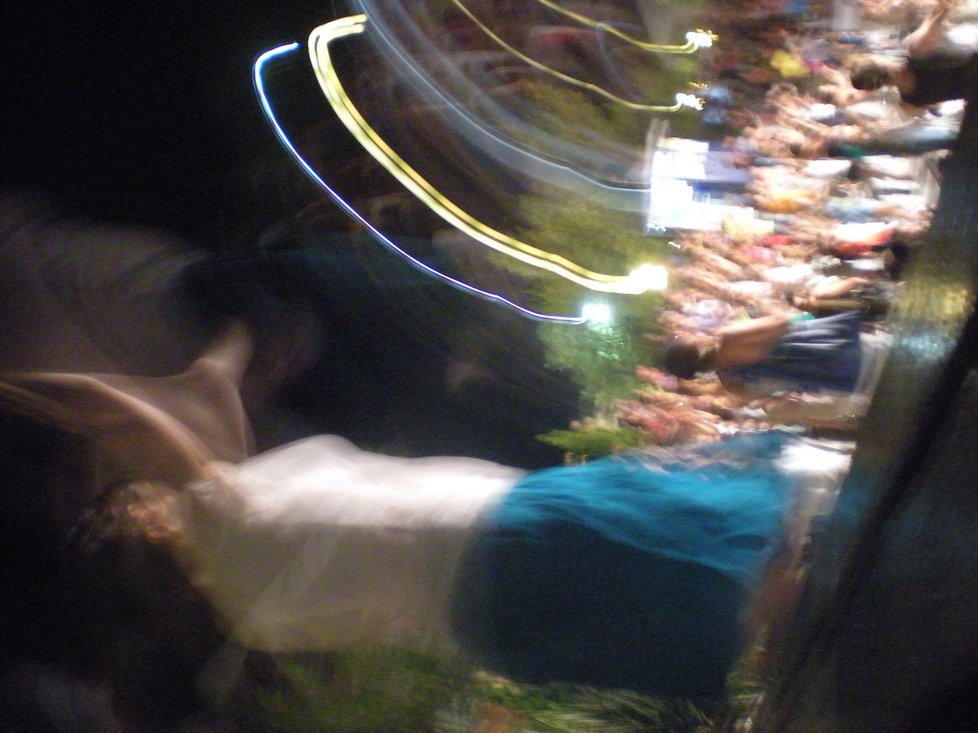 DSCN6041.JPG
